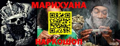 индика Камышлов